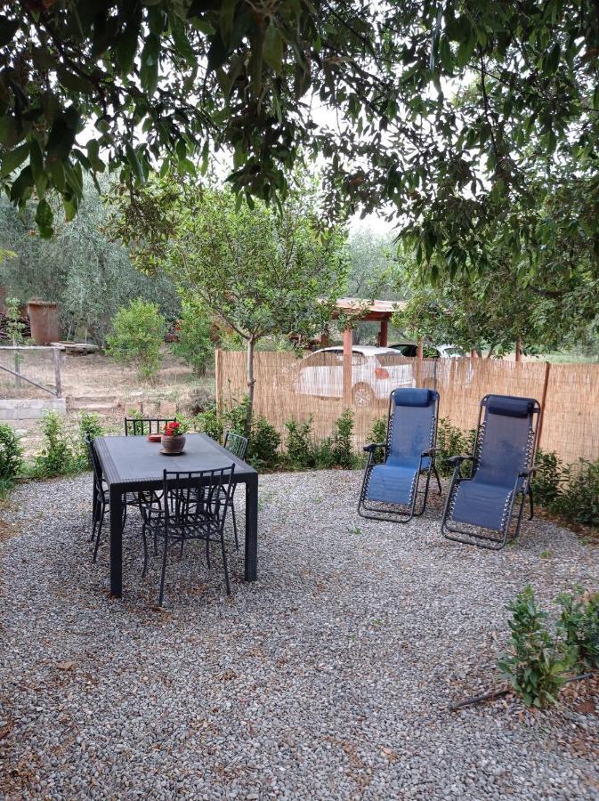 Agriturismo San Giorgino Grosseto Quarto foto